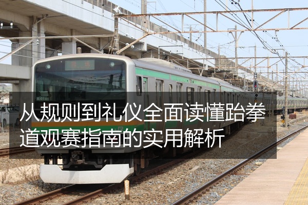 从规则到礼仪全面读懂跆拳道观赛指南的实用解析