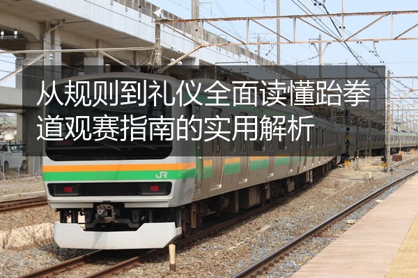 从规则到礼仪全面读懂跆拳道观赛指南的实用解析