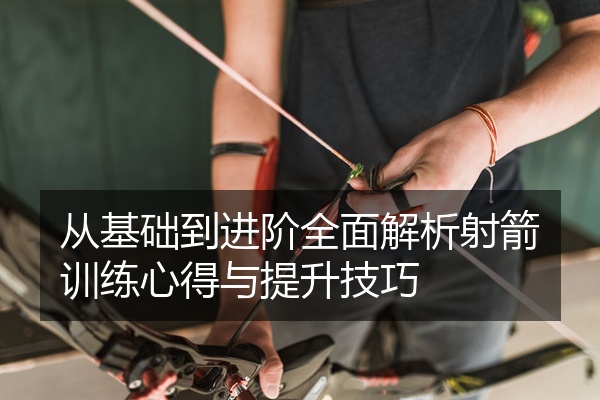 从基础到进阶全面解析射箭训练心得与提升技巧