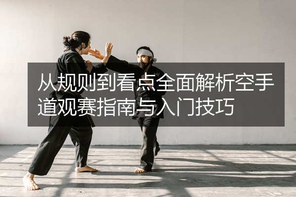 从规则到看点全面解析空手道观赛指南与入门技巧