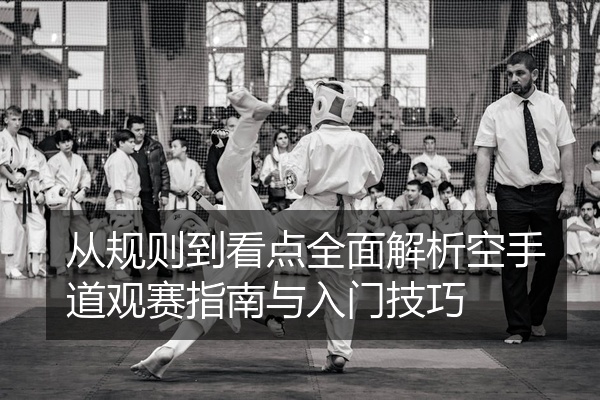 从规则到看点全面解析空手道观赛指南与入门技巧