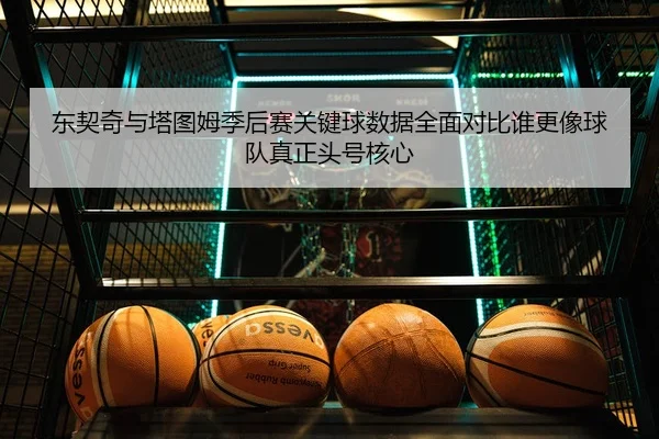 东契奇与塔图姆季后赛关键球数据全面对比谁更像球队真正头号核心
